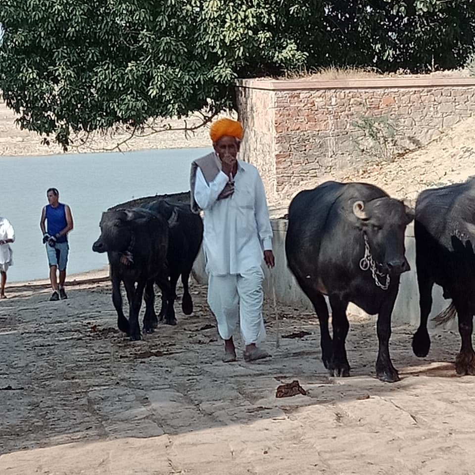10 Days Rajasthan and Taj Mahal Cycling Tour